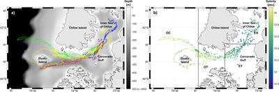 Distribution of blue and sei whale vocalizations, and temperature - salinity characteristics from glider surveys in the Northern Chilean Patagonia mega-estuarine system